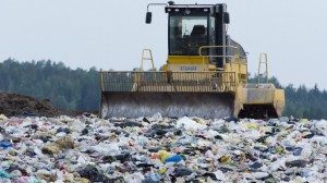 Учёные нашли грибок, который превосходно справляется с пластиком, поедая его