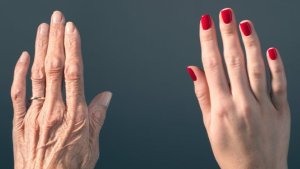 Мы можем продлить жизнь человека путем замедления старения, но мы не можем его остановить Мы можем продлить жизнь человека путем замедления старения, но мы не можем его остановить