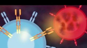 Ученым удалось синтезировать искусственные клетки-киллеры, способные распознавать и уничтожать раковые клетки Ученым удалось синтезировать искусственные клетки-киллеры, способные распознавать и уничтожать раковые клетки