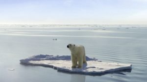 2017 год стал самым теплым годом для мирового океана 2017 год стал самым теплым годом для мирового океана