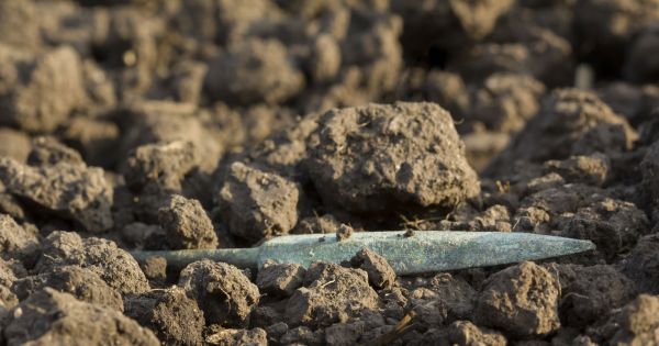 Яд с 2000-летней историей – будущее мужской контрацепции? Яд с 2000-летней историей – будущее мужской контрацепции?