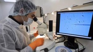 Средиземноморская диета может повысить шансы на успешное ЭКО