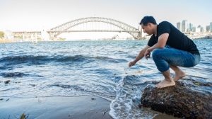 Графеновая пленка превращает грязную воду в питьевую всего за один этап Графеновая пленка превращает грязную воду в питьевую всего за один этап