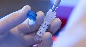 В Дубаи планируют провести исследование ДНК всех 3 миллионов жителей. В Дубаи планируют провести исследование ДНК всех 3 миллионов жителей.