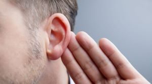 Новое открытие учёных поможет избавлять от потери слуха Новое открытие учёных поможет избавлять от потери слуха