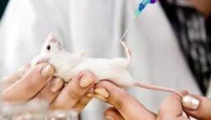 Намечено первое клиническое испытание новой методики лечения рака с помощью ДНК-вакцины Намечено первое клиническое испытание новой методики лечения рака с помощью ДНК-вакцины
