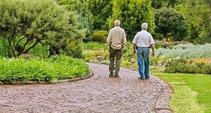 Почему жизнь на природе среди растительности помогает предотвратить деменцию