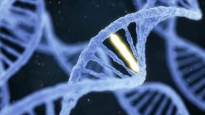 Исследователи DARPA планируют повысить сопротивляемость болезням с помощью «настройки» генов Исследователи DARPA планируют повысить сопротивляемость болезням с помощью «настройки» генов