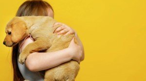 Собаки готовы сделать всё, чтобы поднять настроение хозяину