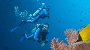 Среди аквалангистов растет число случаев сердечных приступов под водой