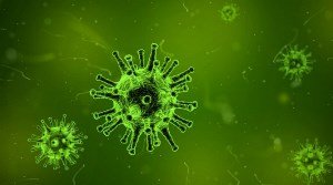 Генетически модифицированные бактерии E.coli могут найти применение в солнечных элементах Генетически модифицированные бактерии E.coli могут найти применение в солнечных элементах