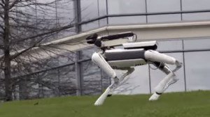 К середине 2019 года компания Boston Dynamics планирует производить 1 тысячу роботов-собак в год