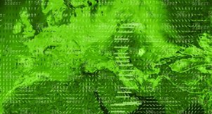 Как флот из крошечных спутников будет отслеживать перемещения миллионов животных Как флот из крошечных спутников будет отслеживать перемещения миллионов животных