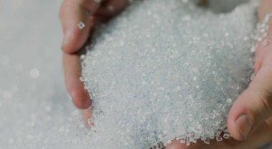 Найдены бактерии, перерабатывающие пищевые отходы в биоразлагаемую пластмассу