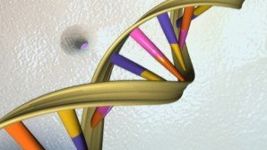 Ученые научились определять разницу между ощущаемым и биологическим возрастом Ученые научились определять разницу между ощущаемым и биологическим возрастом