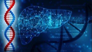 Нарушение циркадных ритмов может быть фактором риска развития опасных заболеваний Нарушение циркадных ритмов может быть фактором риска развития опасных заболеваний