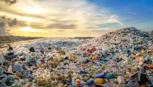 Разлагаемые биопластики, в производстве которых не образуется токсичных отходов, уже на горизонте