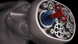 Рассекреченные документы программы MKUltra: сотрудники ЦРУ вживляли в мозг собак электроды для дистанционного управления их поведением Рассекреченные документы программы MKUltra: сотрудники ЦРУ вживляли в мозг собак электроды для дистанционного управления их поведением