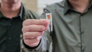 Учёные разрабатывают нейронный имплант размером меньше сантиметра, способствующий потере веса
