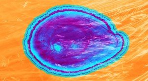 Съедобное покрытие сохранит свежесть пищевых продуктов и сократит количество отходов