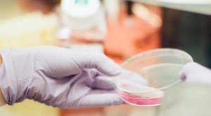 Разработанные учеными молекулы-регенераторы кожи стимулируют быстрое заживление ран Разработанные учеными молекулы-регенераторы кожи стимулируют быстрое заживление ран
