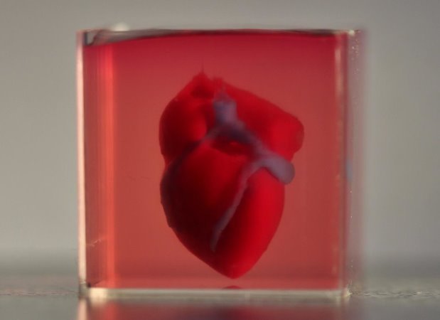 Ученые впервые напечатали на 3D принтере трехмерное сердце с сосудами, используя клетки пациента