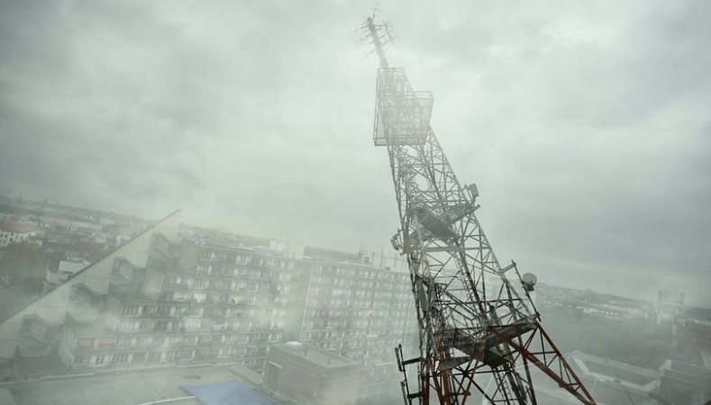 Излучение сетей 5G вызывает перегрев усиков насекомых Излучение сетей 5G вызывает перегрев усиков насекомых